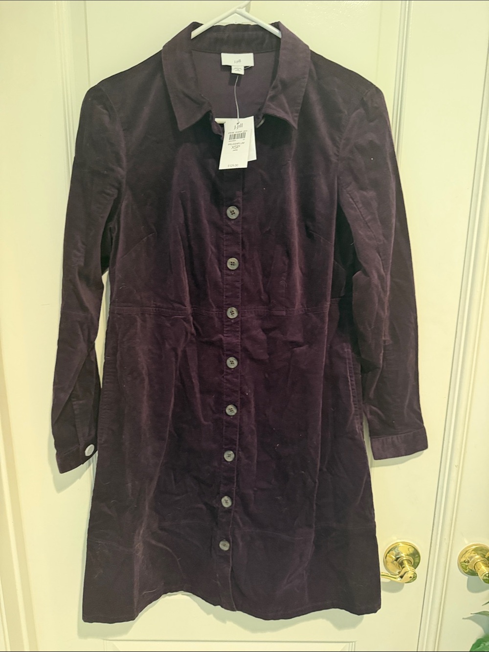 J. Jill Velvet Button-Front Long Sleeve Dress in Plum with Pockets